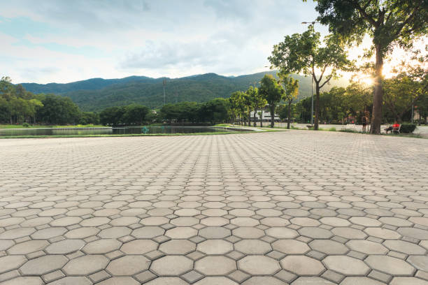 Best Concrete Paver Driveway  in Archdale, NC